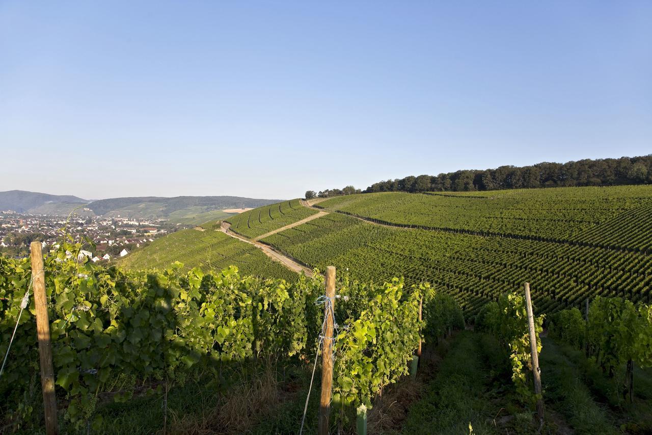 Weinquartier Burggarten Bad Neuenahr-Ahrweiler Eksteriør bilde